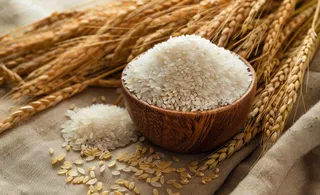 世界粮食日谷物米饭稻谷小麦摄影图