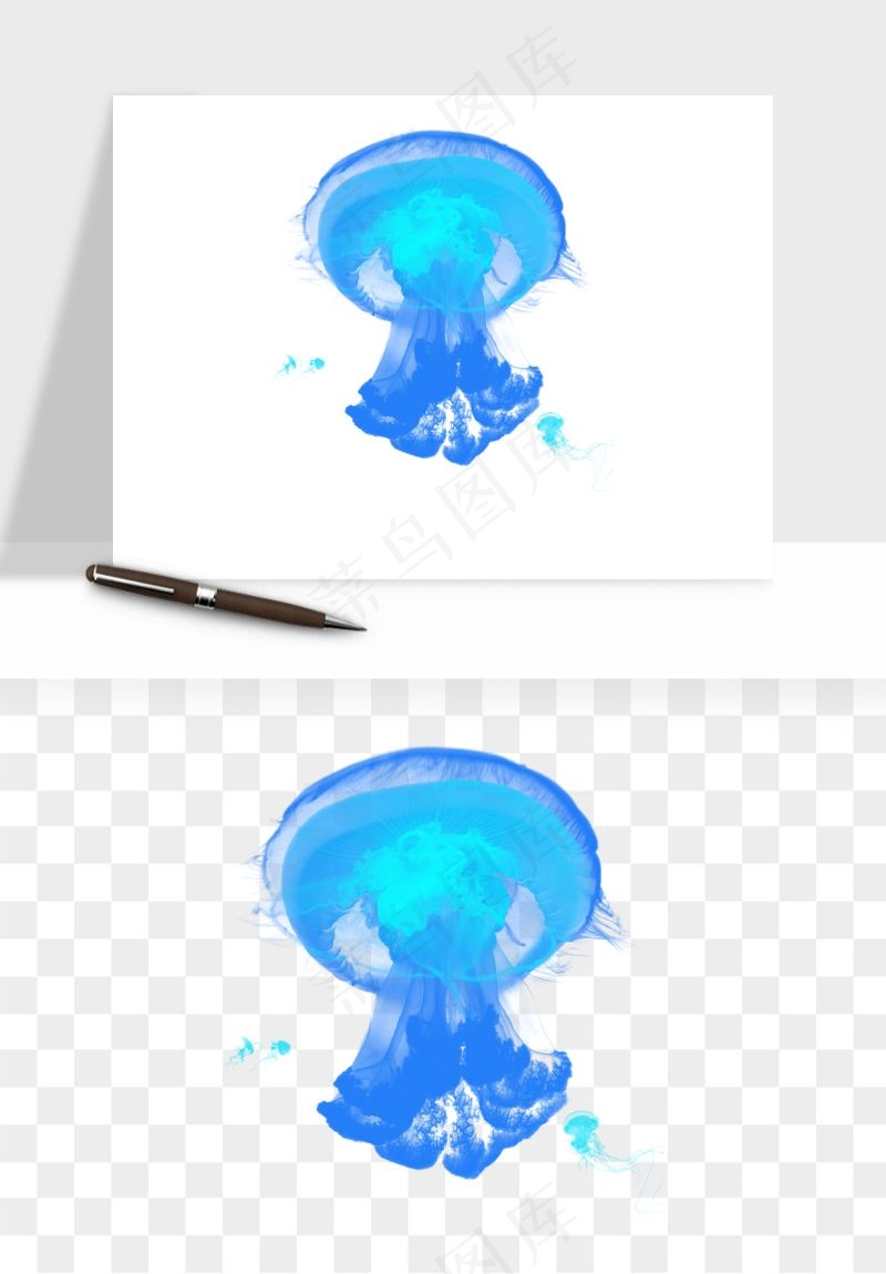 水母章鱼海底生物png免抠图