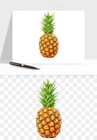 菠萝水果png免抠