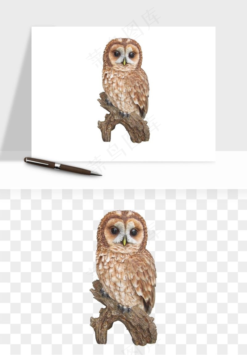 猫头鹰鸟类png免抠