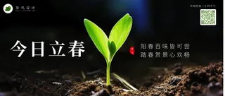 立春公众号首图