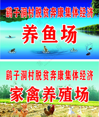 养殖场海报海鲜大礼包野生鱼馆
