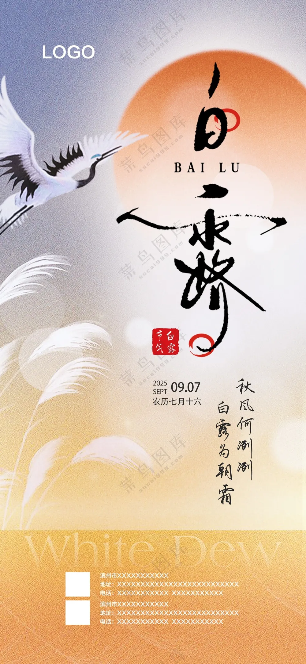 白露海报 二十四节气