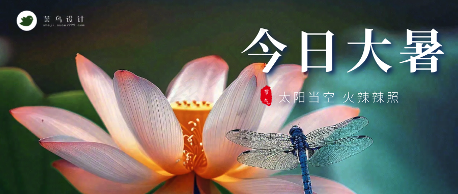 大暑公众号首图