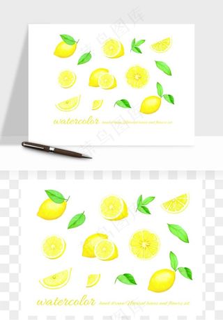 手绘柠檬矢量