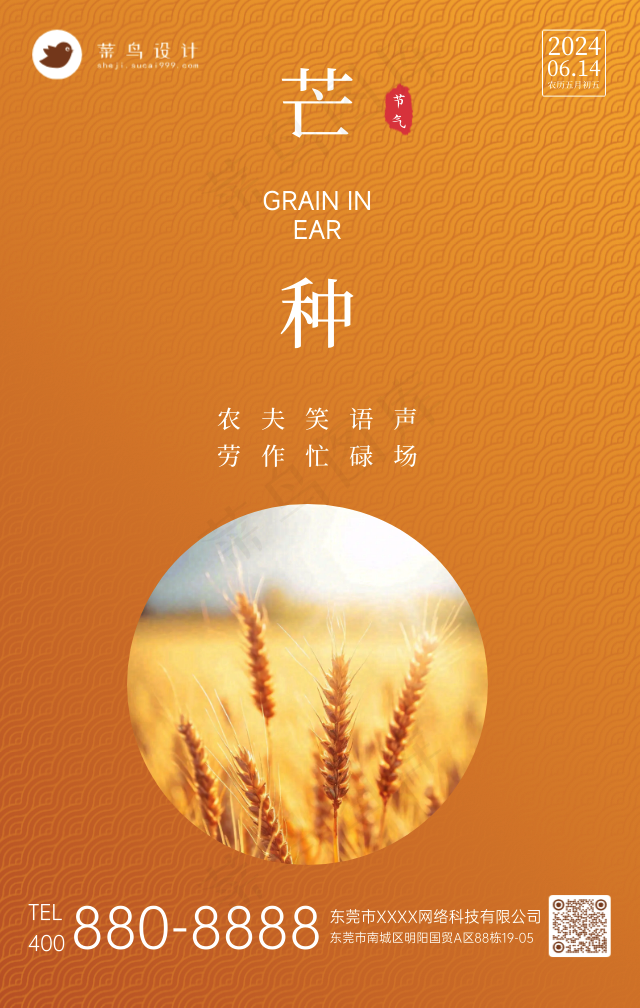 芒种手机海报