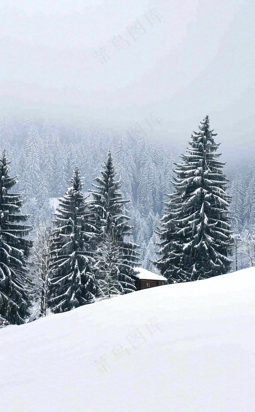冬天寒冷白雪结冰小寒摄影图