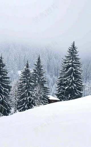 冬天寒冷白雪结冰小寒摄影图