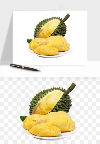 榴莲果肉水果png免抠