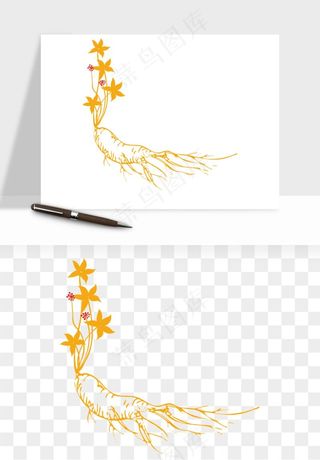 人参养生药材png免抠