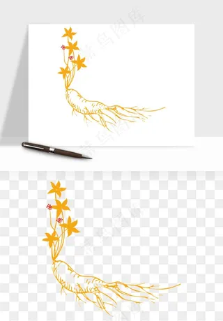 人参养生药材png免抠