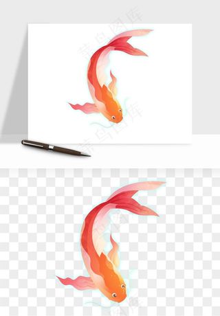 锦鲤鱼手绘水墨png免抠