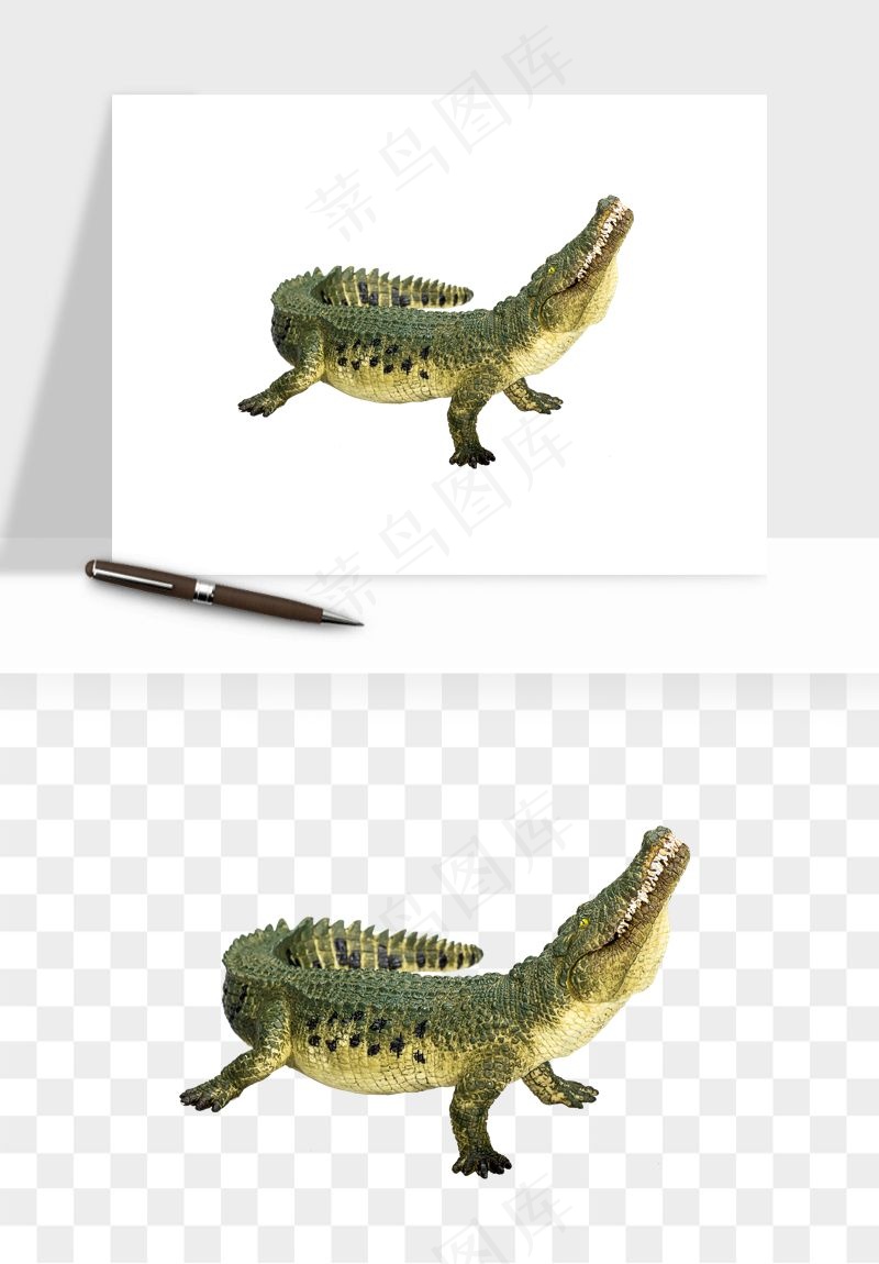 鳄鱼动物png免抠