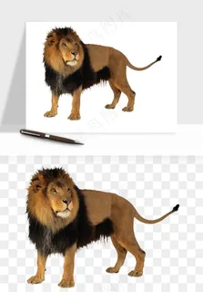 狮子雄狮狮王动物png免抠