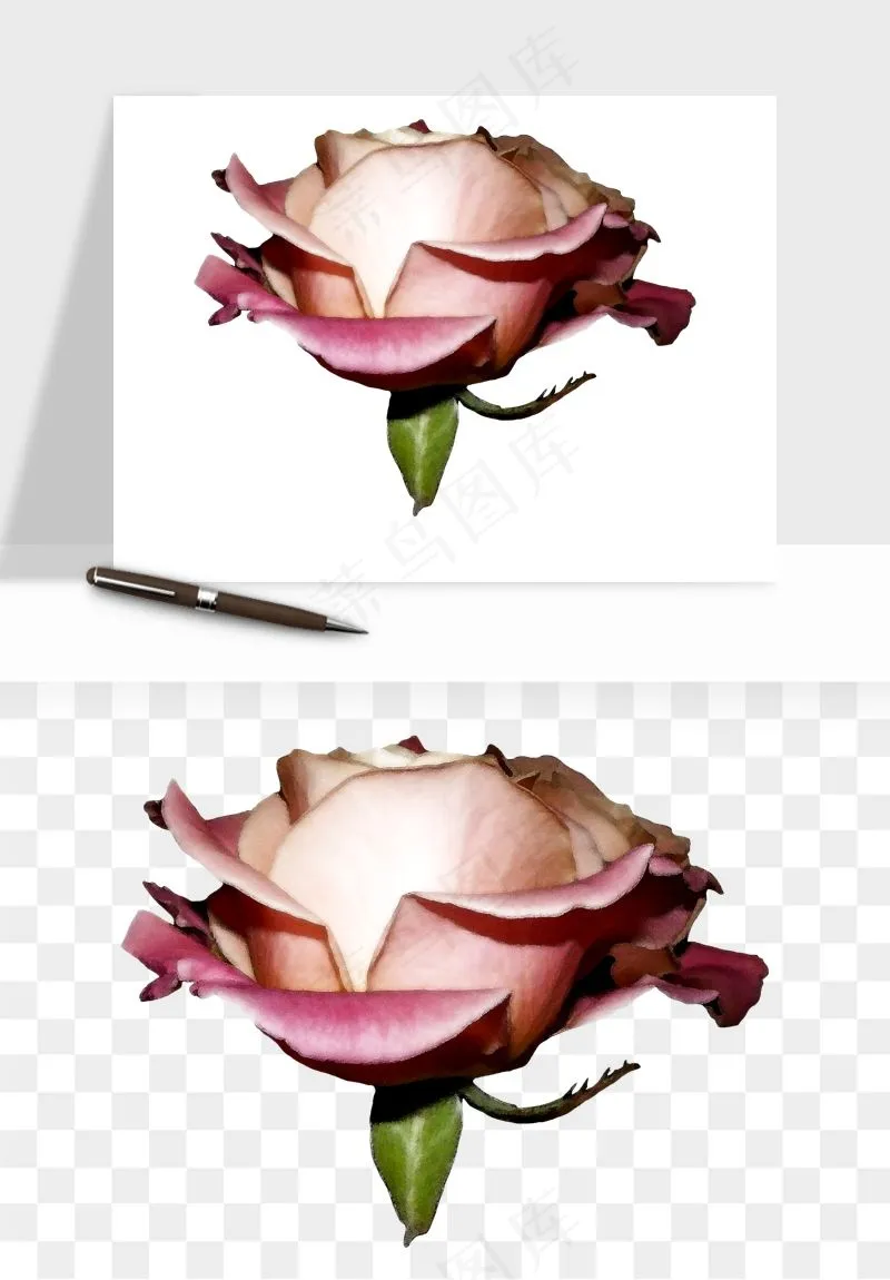 复古鲜花玫瑰png免抠