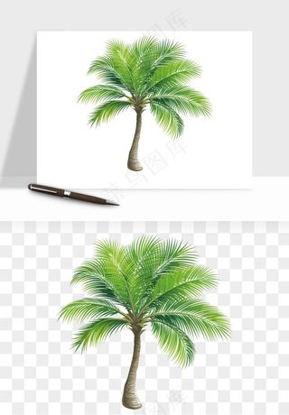 卡通沙滩椰子树png免抠