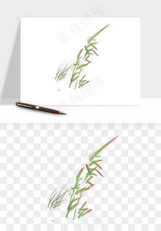 植物芦苇蒲苇香蒲png免抠