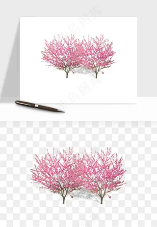 手绘樱花树png免抠