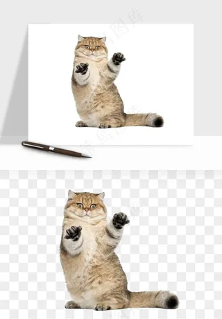 猫咪喵星人狗狗宠物元素png免抠