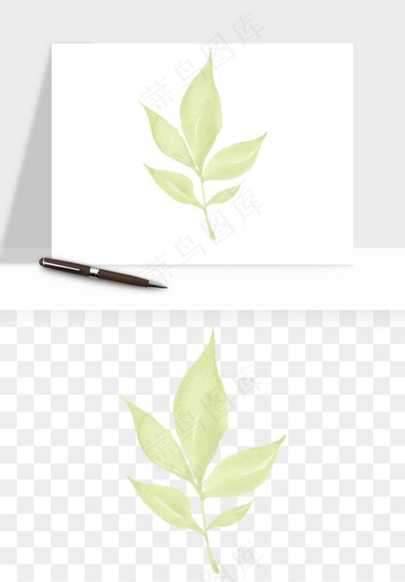 清新手绘植物png免抠