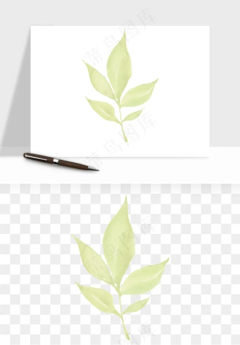 清新手绘植物png免抠
