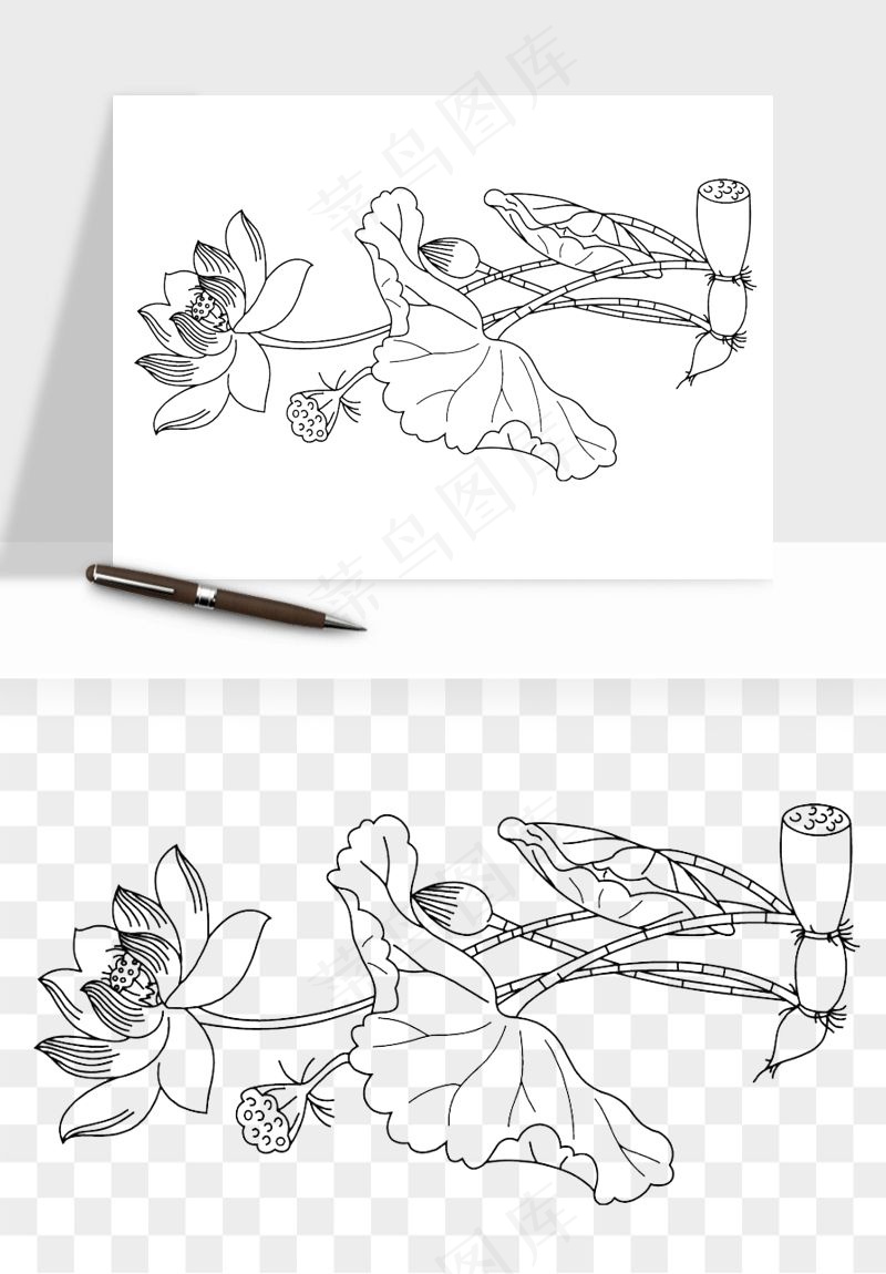 线描荷花莲花线条png免抠