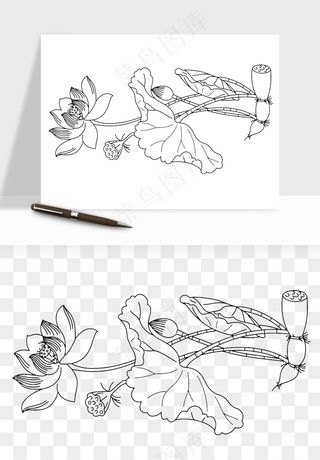 线描荷花莲花线条png免抠