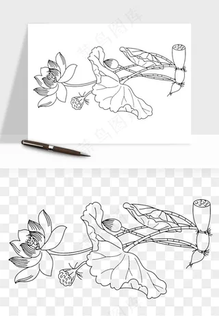 线描荷花莲花线条png免抠