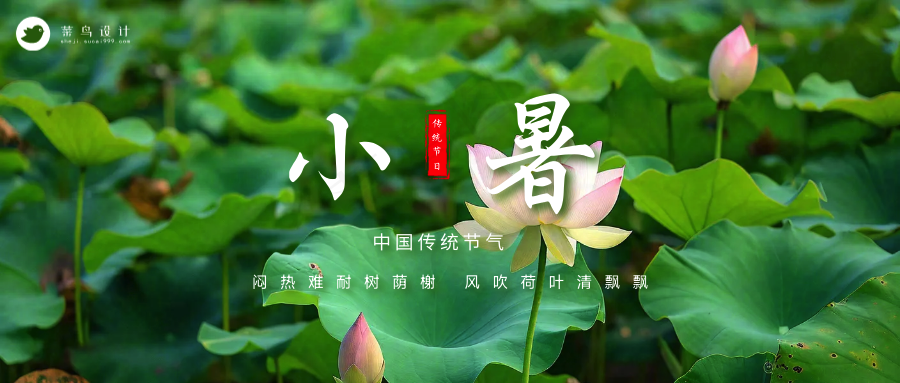 小暑公众号首图