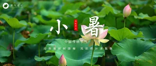 小暑公众号首图