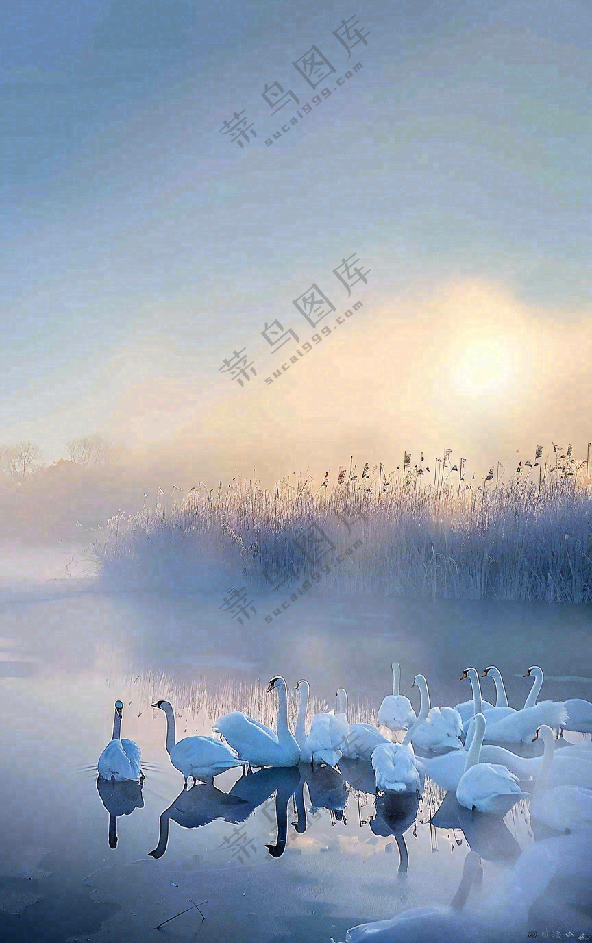 白露节气