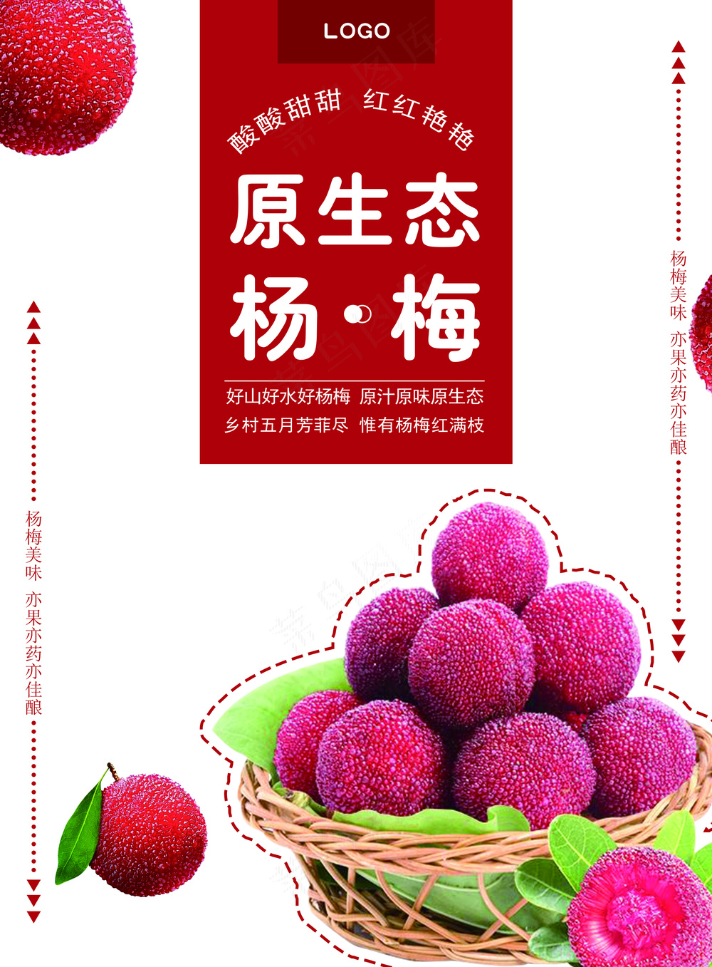 杨梅海报