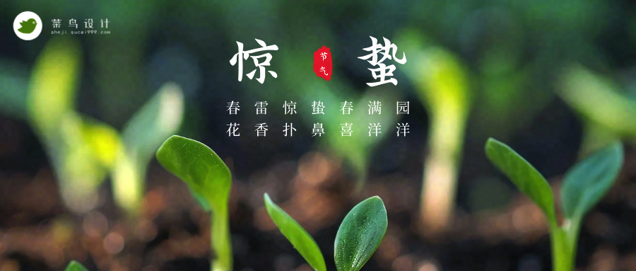 惊蛰公众号首图