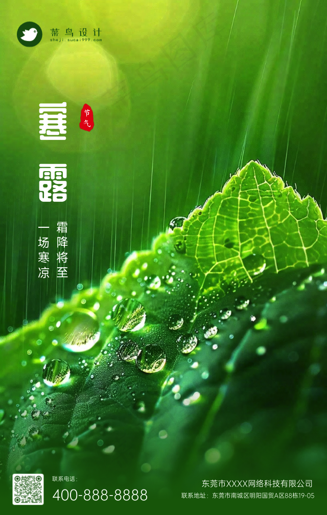 寒露手机海报