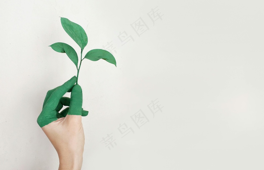 免费 人的左手拿着绿叶植物 素材图片