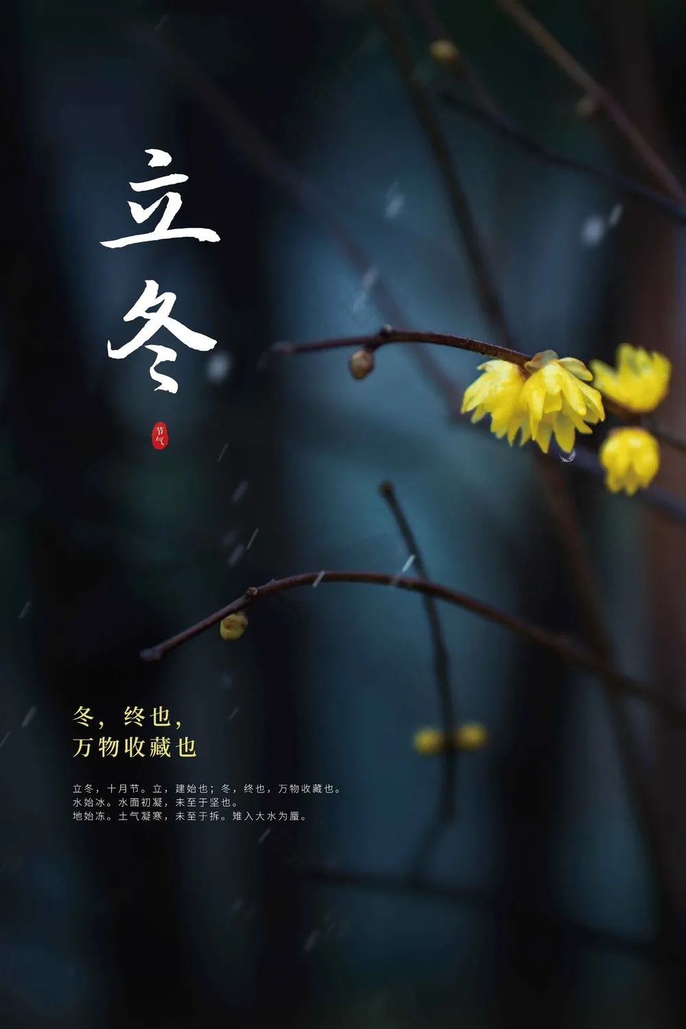 复古传统立冬节气海报