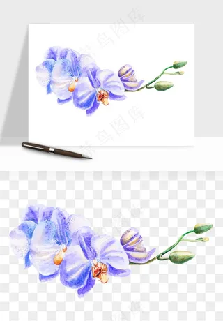 水彩复古植物花卉png免抠
