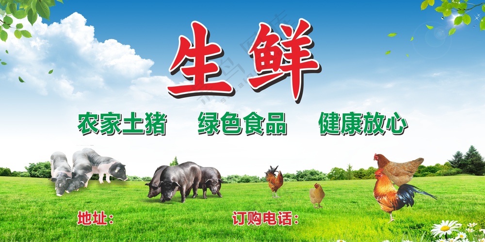 生鲜土猪海报素材