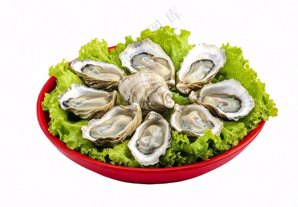 时蔬生蚝海鲜摄影图免抠