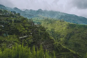 翠绿的山谷，云雾缭绕