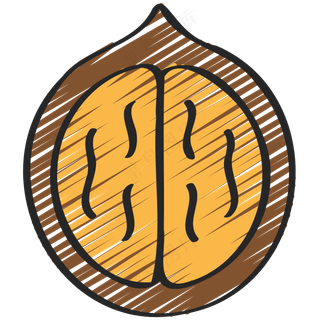 核桃 walnut 绿色健康食品 铅笔手绘图标icon