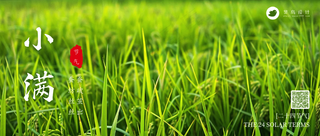 小满公众号首图