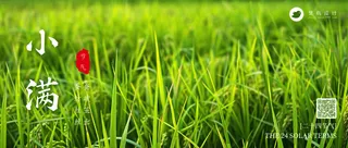 小满公众号首图