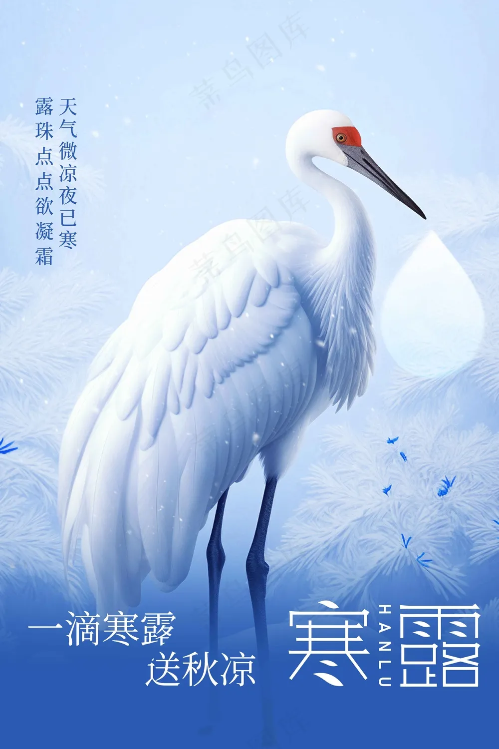 寒露节气传统活动宣传海报