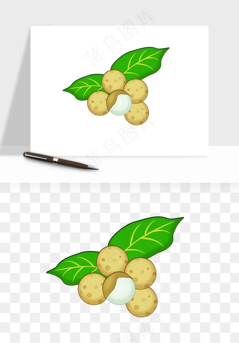 龙眼桂圆水果png免抠