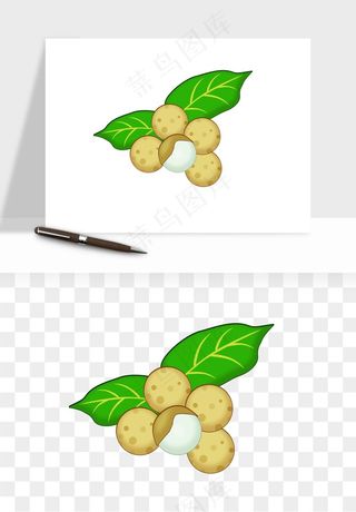 龙眼桂圆水果png免抠