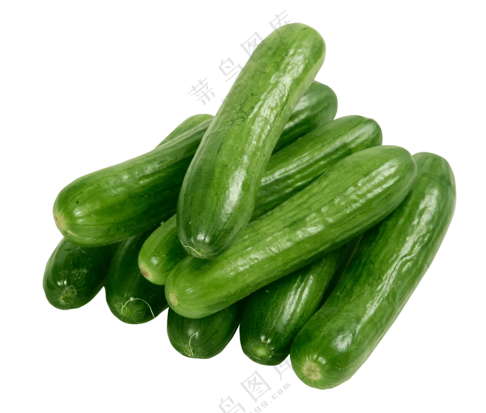 饱满亮泽的小青瓜主题免抠图片素材