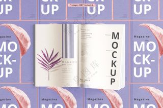 书籍杂志画册封面设计vi样机_10