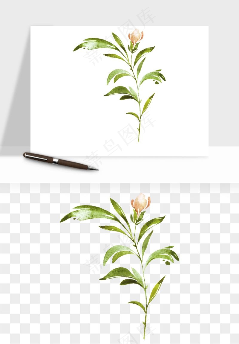 清新手绘植物png免抠