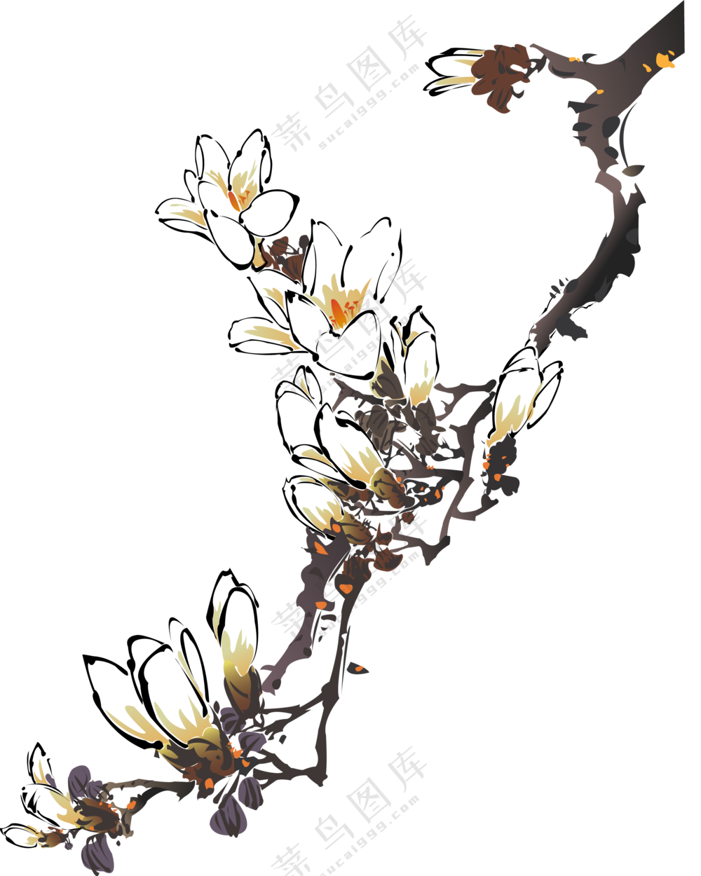 黑白水墨创意花卉树枝免抠图片素材